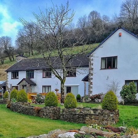 Neuadd Wen Guest House Carmarthen Exterior foto