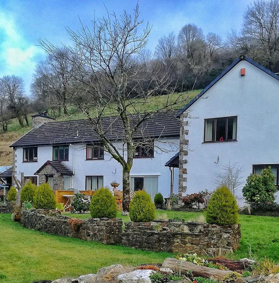Neuadd Wen Guest House Carmarthen Exterior foto