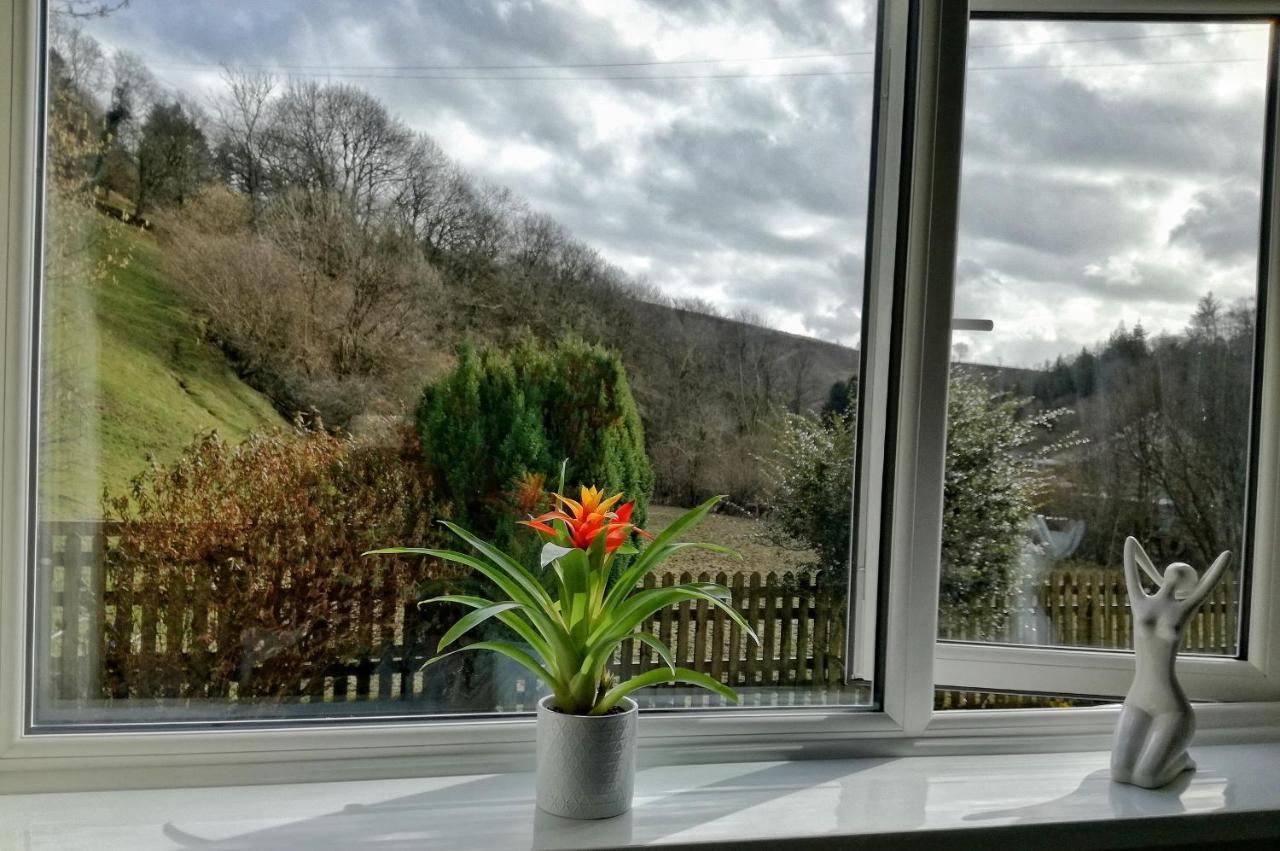 Neuadd Wen Guest House Carmarthen Exterior foto